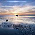 Estuary Reflections